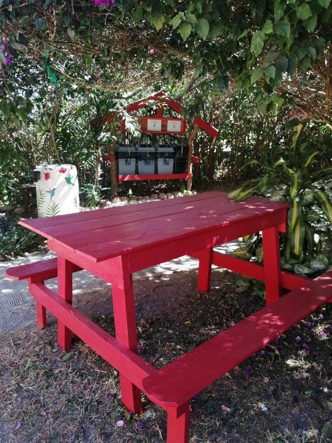 Pension Y Cabinas Colibri B&B Costa Rica Монте-Верде Экстерьер фото