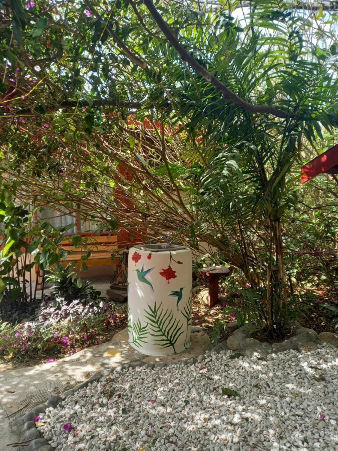 Pension Y Cabinas Colibri B&B Costa Rica Монте-Верде Экстерьер фото