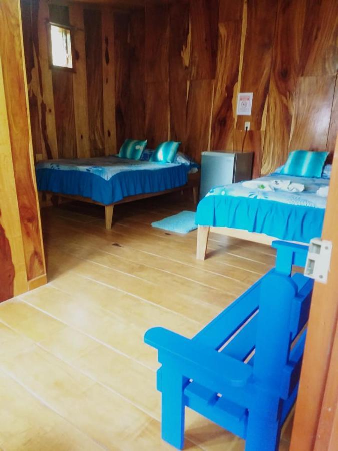Pension Y Cabinas Colibri B&B Costa Rica Монте-Верде Экстерьер фото