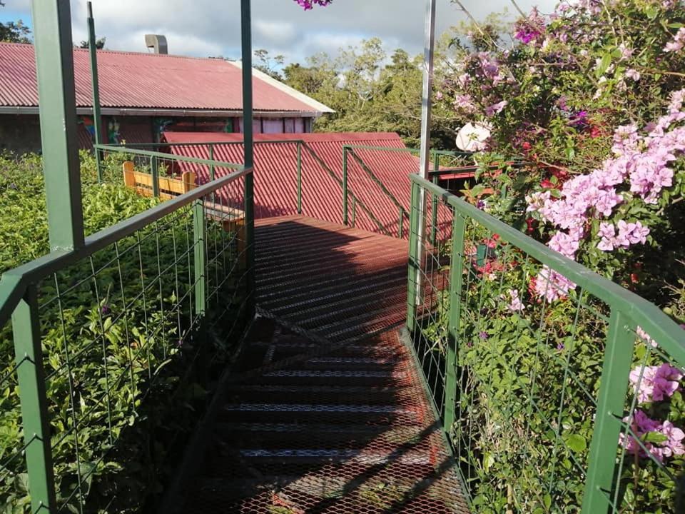 Pension Y Cabinas Colibri B&B Costa Rica Монте-Верде Экстерьер фото
